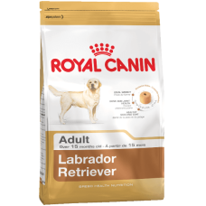 Labrador Royal Canin